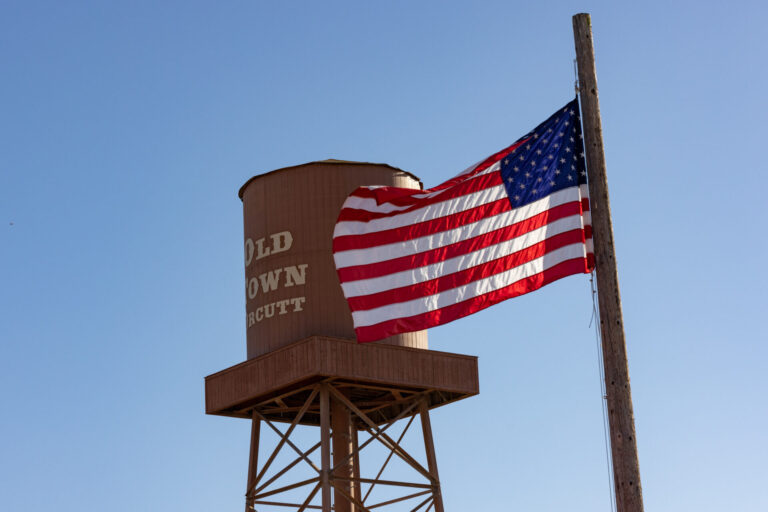 Picture at the Stockyard #3
